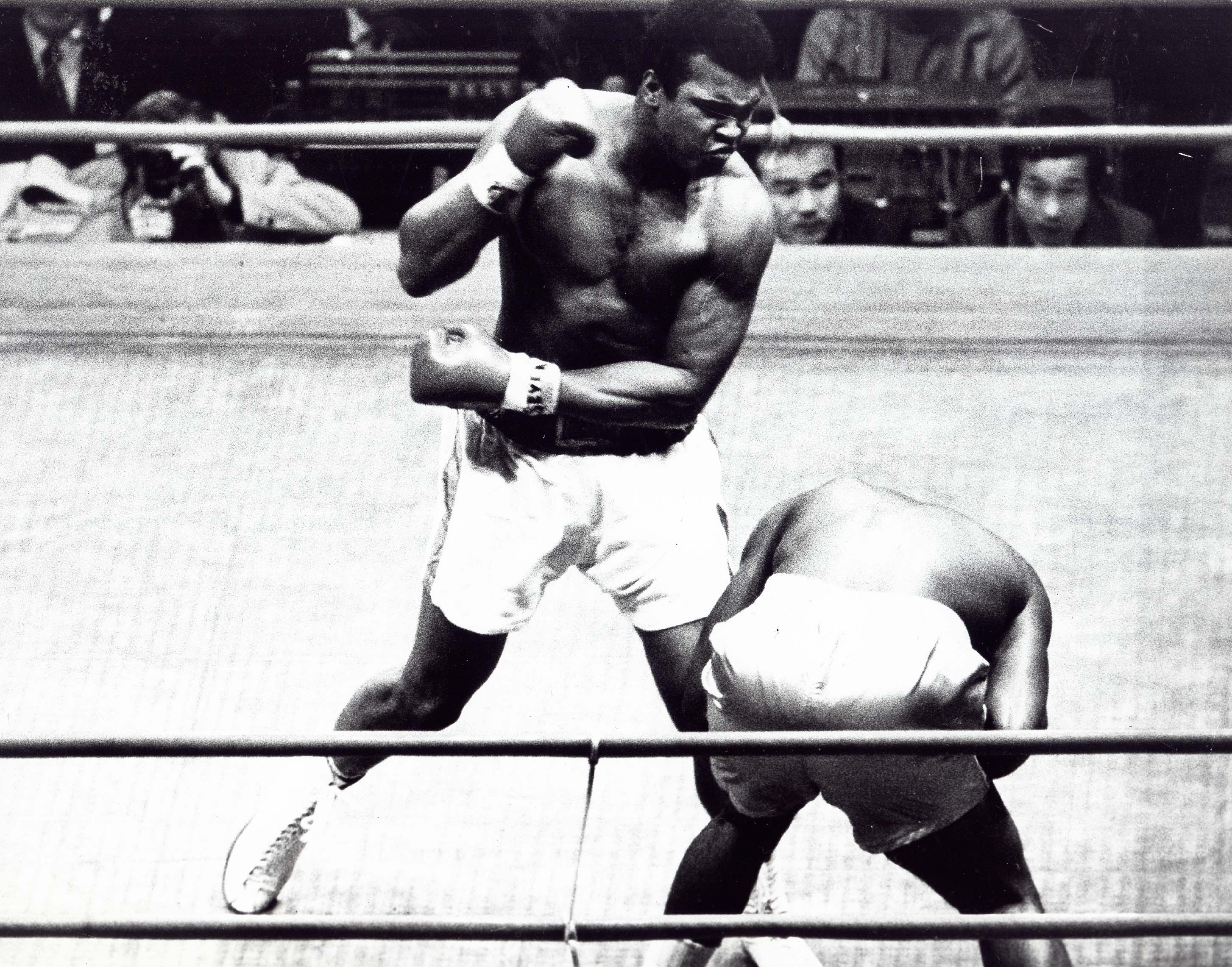 Nov. 30, 1972 - MUHAMMAD ALI wins match with Mac Foster. 1972., Image: 109630873, License: Rights-managed, Restrictions: , Model Release: no, Credit line: Profimedia, Zuma Press - Entertaiment