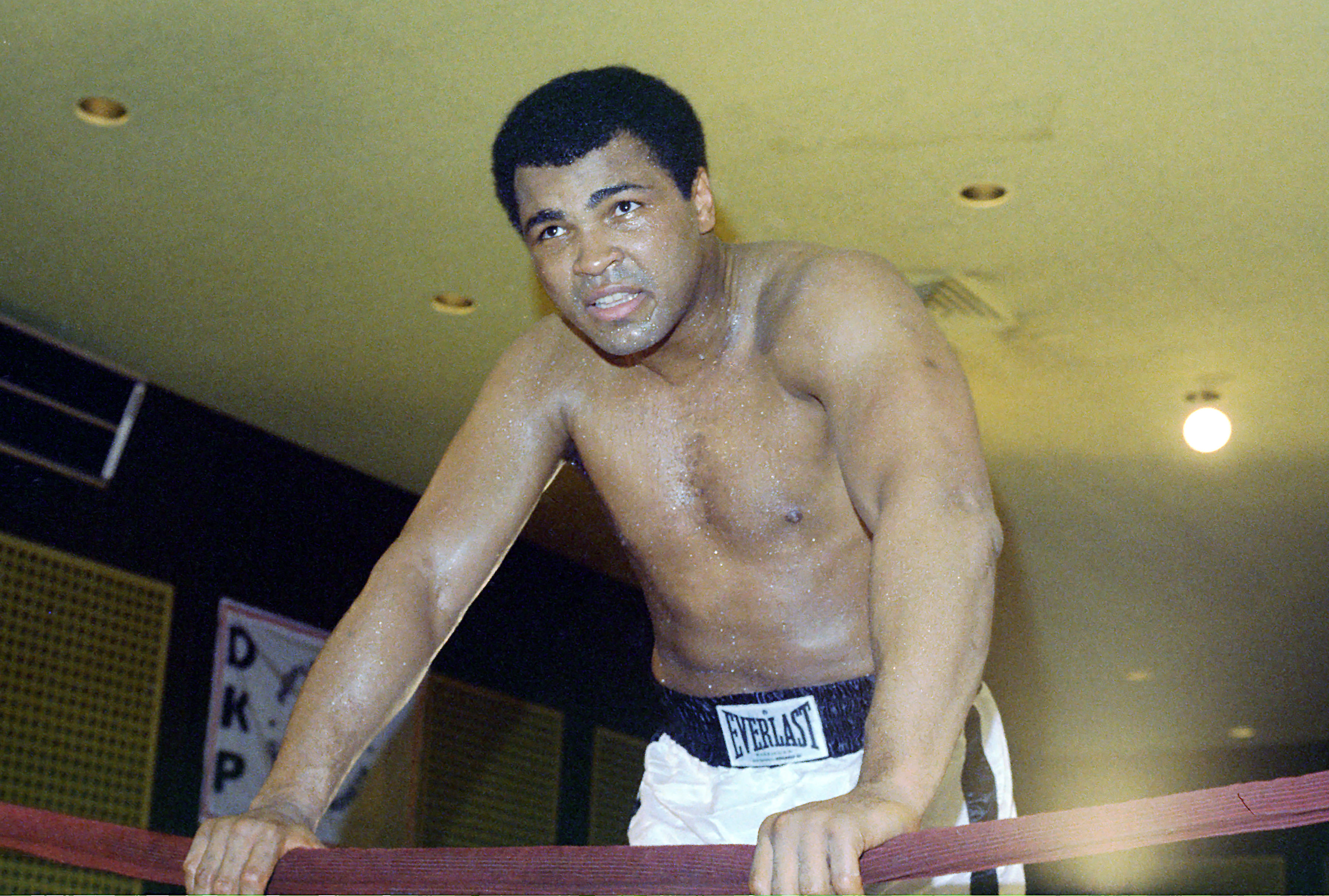 April 20, 1976 - Arlington, Virginia, United States: Heavyweight Champion Muhammad Ali speaks to the press during a training session for his fight against Jimmy Young. The fight went the full 15 rounds with a controversial one-sided unanimous decision going to Ali. Ali's ever loyal trainer Angelo Dundee went on record as saying this was the champion's "worst fight.", Image: 238439933, License: Rights-managed, Restrictions: , Model Release: no, Credit line: Profimedia, Polaris
